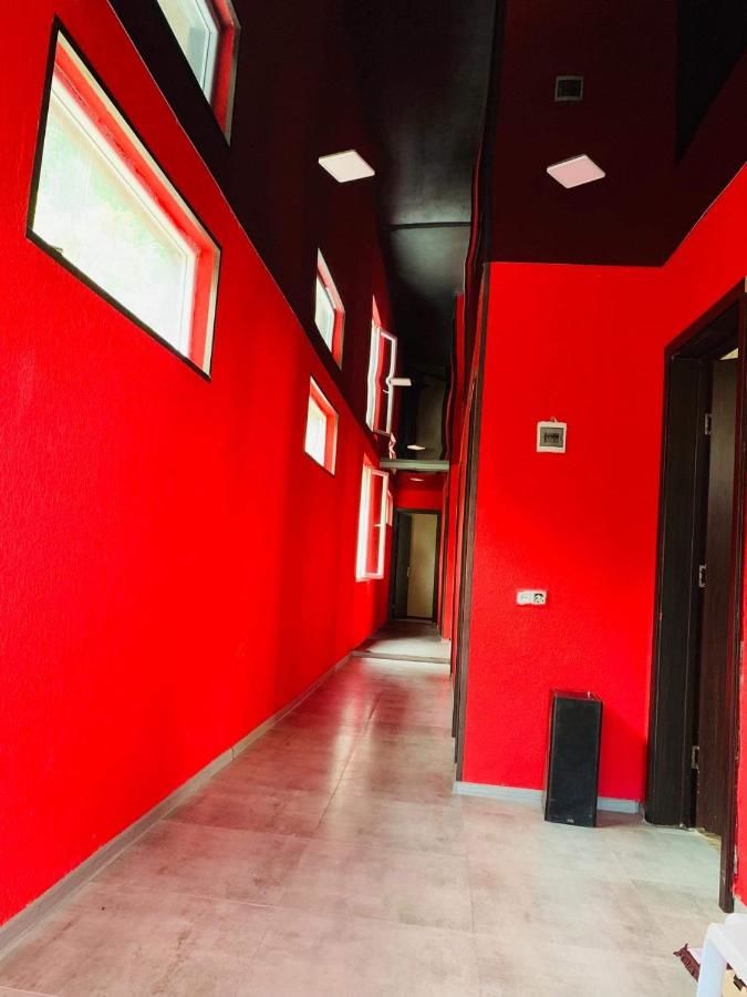 Гостевой дом Alina Guesthouse Батуми-11